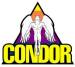 LogoCondor_ch.jpg (2217 bytes)